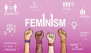 feminism is not