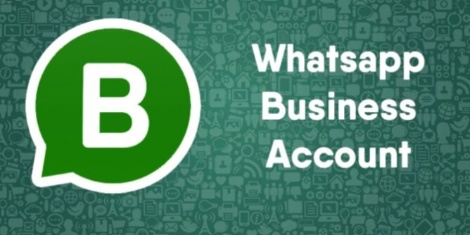 how to setup a whatsapp business account