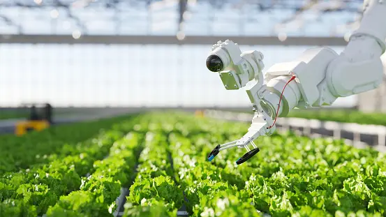 technology in food farming lifestylemetro.com