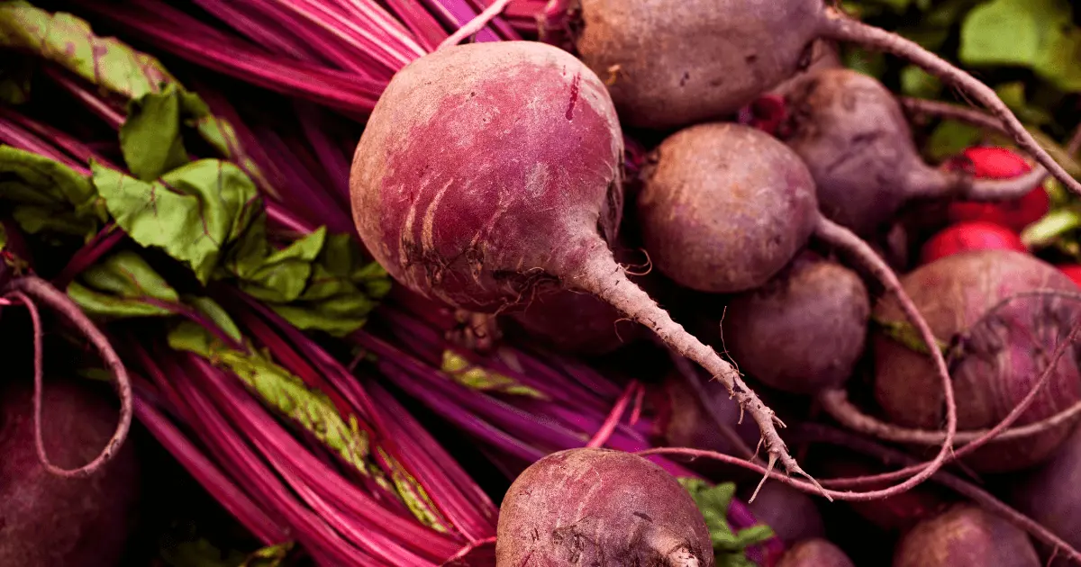 Detox Foods | LifestyleMetro