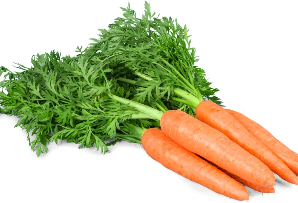 carrot healthy vegetable