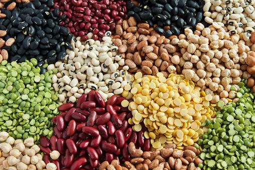 legumes and beans balanced diet