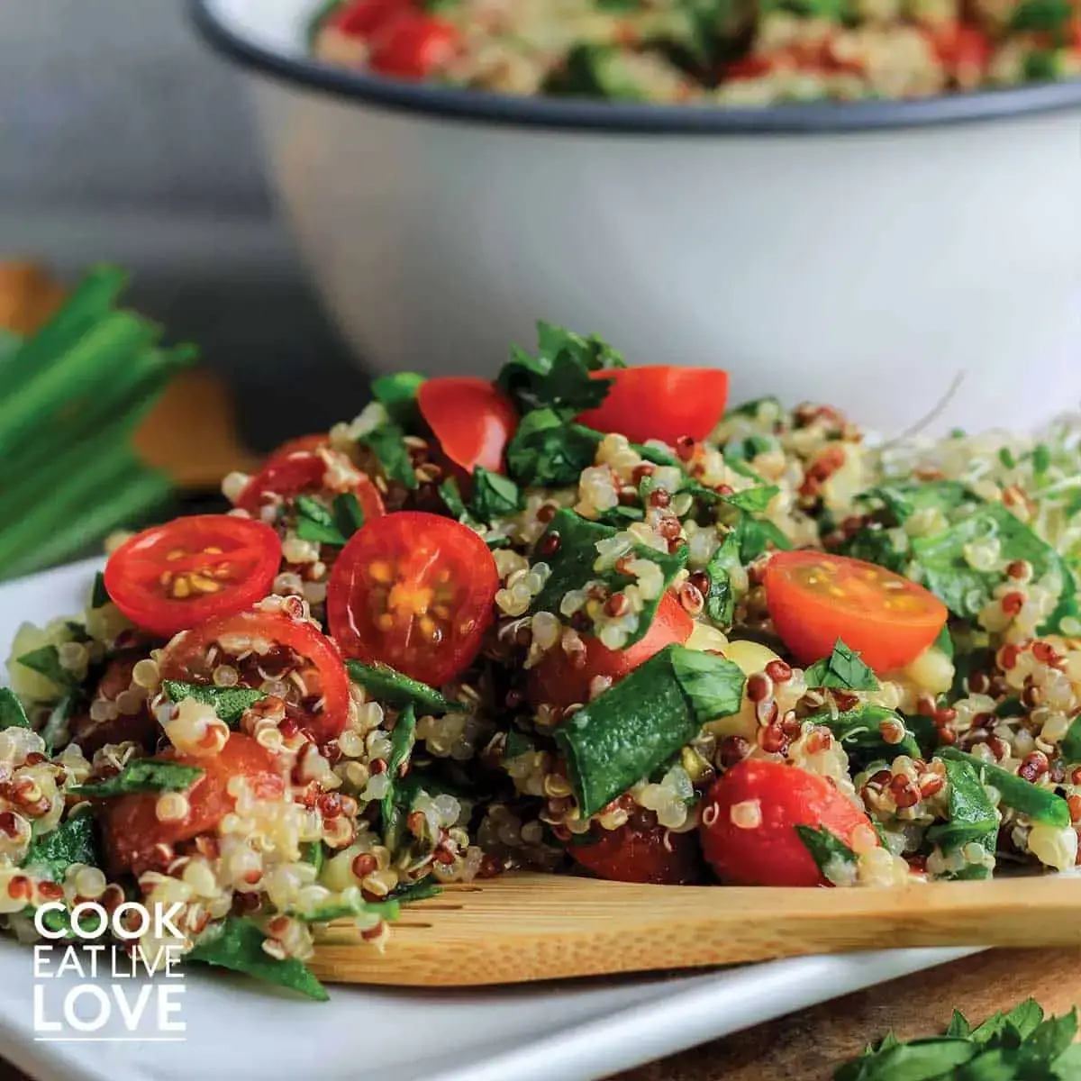 Zesty Quinoa summer salad dish/Lifestyle Metro 