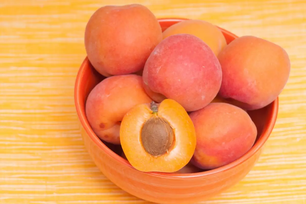 Apricot healthiest fruits