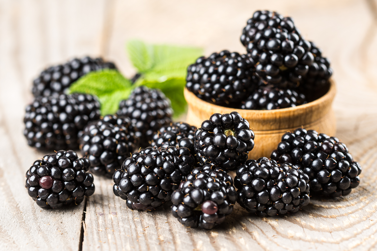 black berry healthiest fruits