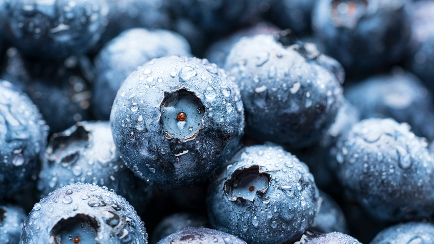blue berry healthiest fruits