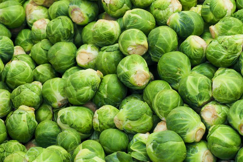 brussels sprout