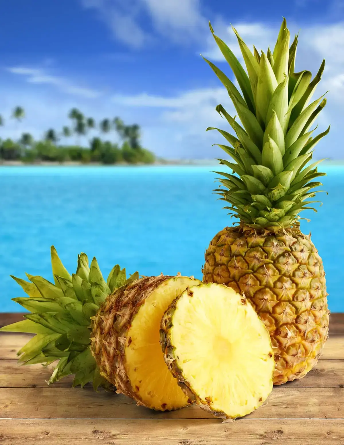 pineapple/lifestyle metro