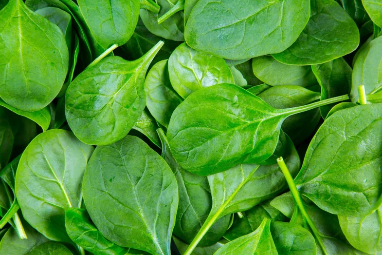 spinach healthy vegetable