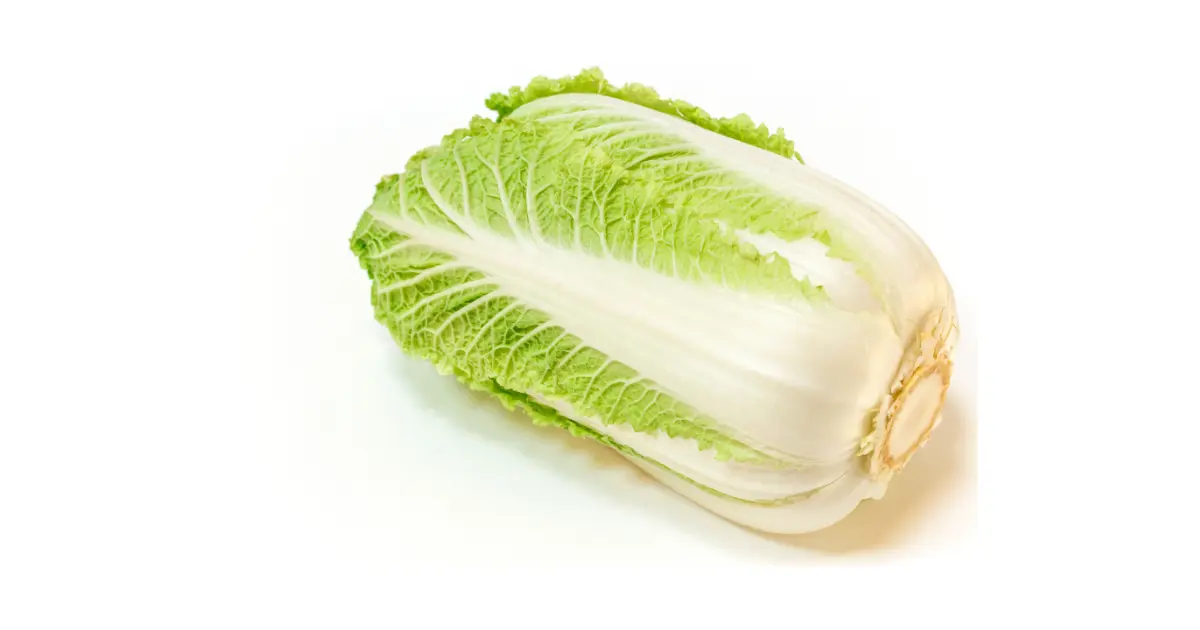Benefits of Napa Cabbage 12 Nutritional Benefit Lifestyle Metro