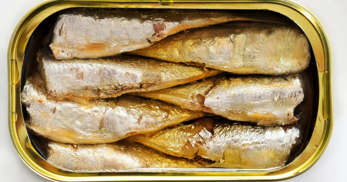 Health Benefits of Sardines Are Sardines Good For You? Lifestyle Metro