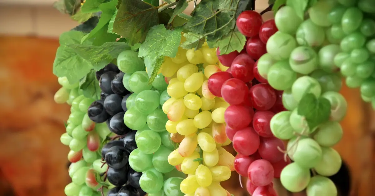 Top 10 Health Benefits of Eating Grapes Daily Lifestyle Metro